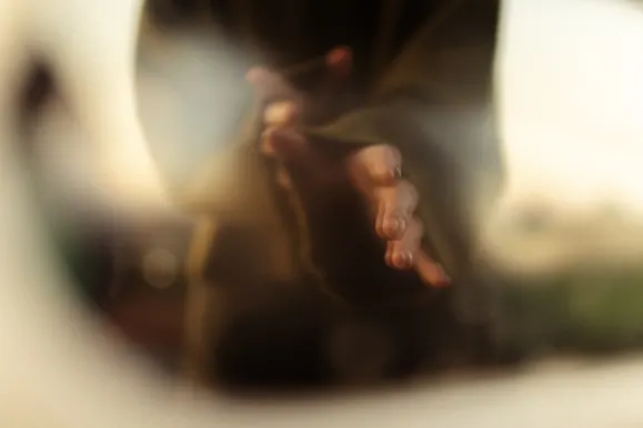 Casino Royal Slots Tacaíocht